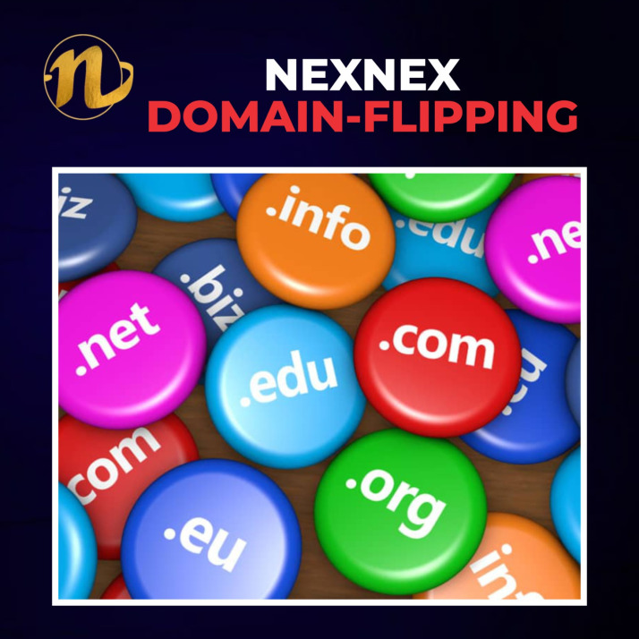 NexNex Domain Flipper